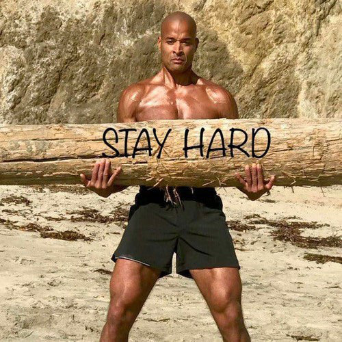 TURNING PAIN INTO POWER - DAVID GOGGINS & LEWIS HOWES