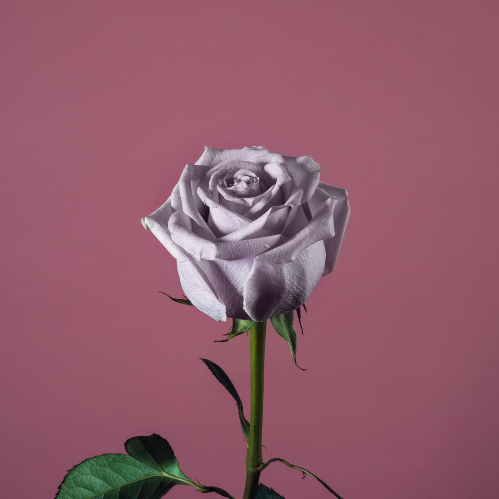 SELF-ESTEEM - Pia Mellody